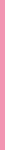 pink_divider_5x150